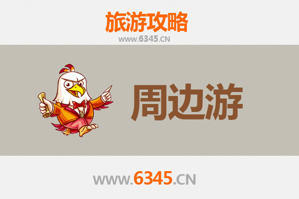 自贡富顺周边游攻略：探秘千年盐都与豆花之乡的假日时光